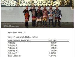 PTPN I Regional 7 Diduga Manipulasi Data Luas Lahan, Tokoh Adat Halangan Ratu Angkat Suara