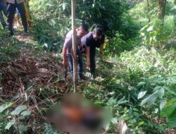 Geger Penemuan Mayat Pria di Sungai Kebagusan, Polsek Gedong Tataan Bergerak Cepat Lakukan Penyelidikan