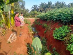 Warga Resah! Galian PTPN di Dekat Rumah Mereka Berpotensi Telan Korban