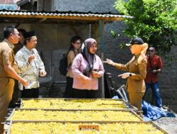 Dukung Pelaku Usaha Lokal, Bupati Nanda Kunjungi Sejumlah Sentra UMKM di Kecamatan Way Lima